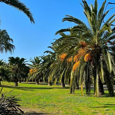 Apartamento In Brisas Del Sur Alicante